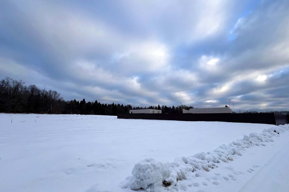 земля городской округ Пушкинский Калистово фото 2