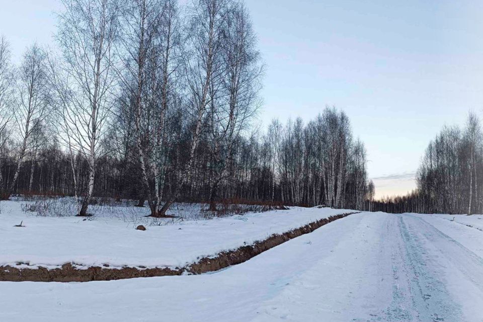 земля городской округ Дмитровский д. Сбоево фото 1