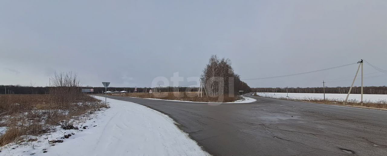 земля г Тула р-н Пролетарский Медвенский сельский округ, 2, Ревякино, д. Кишкино фото 2