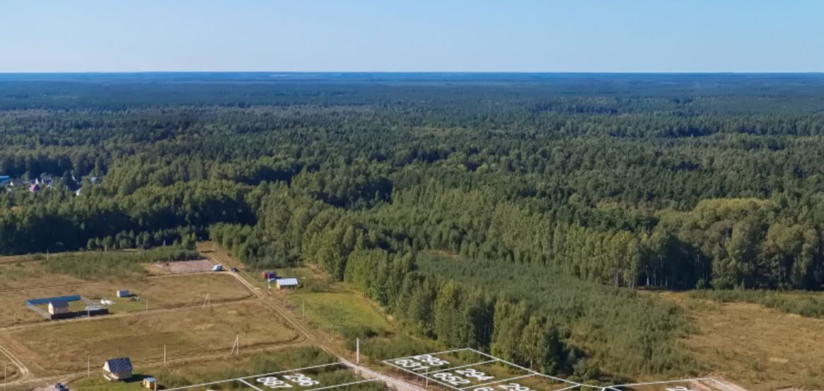 земля городской округ Волоколамский д Чащь фото 4