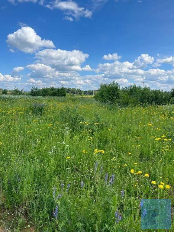 земля городской округ Солнечногорск д Пятница Пятницкое фото 6