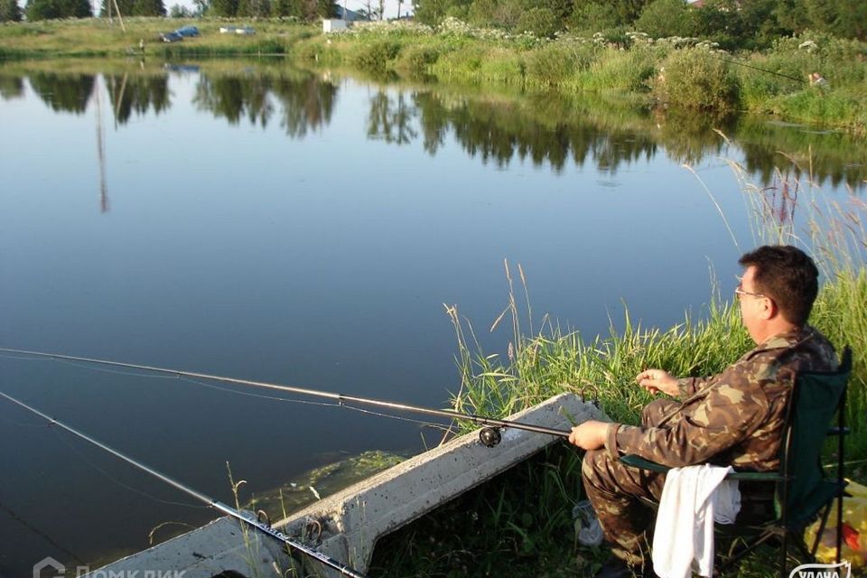 земля городской округ Шаховская ДНП Дорино-2 фото 8