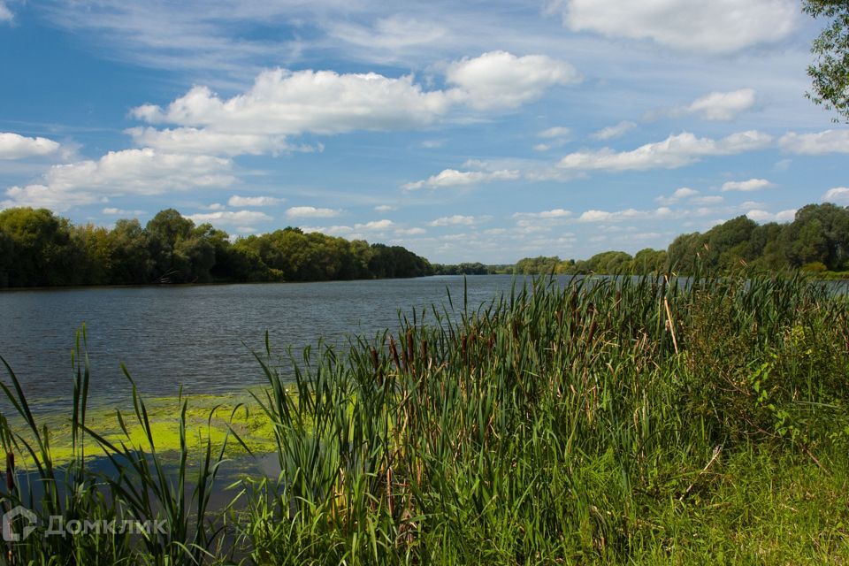 земля городской округ Раменский фото 8