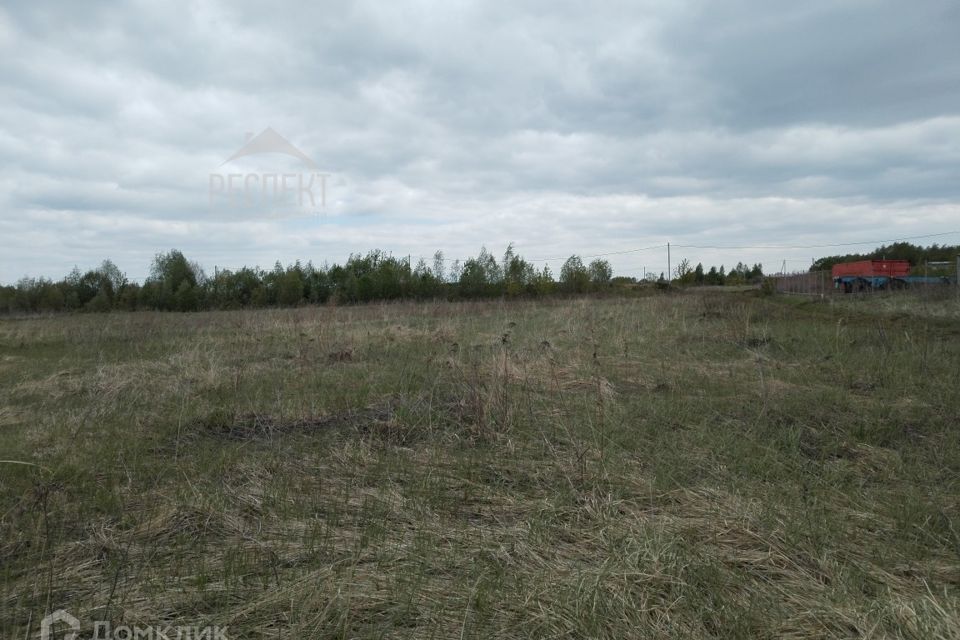 земля городской округ Воскресенск Сосновый бор фото 6