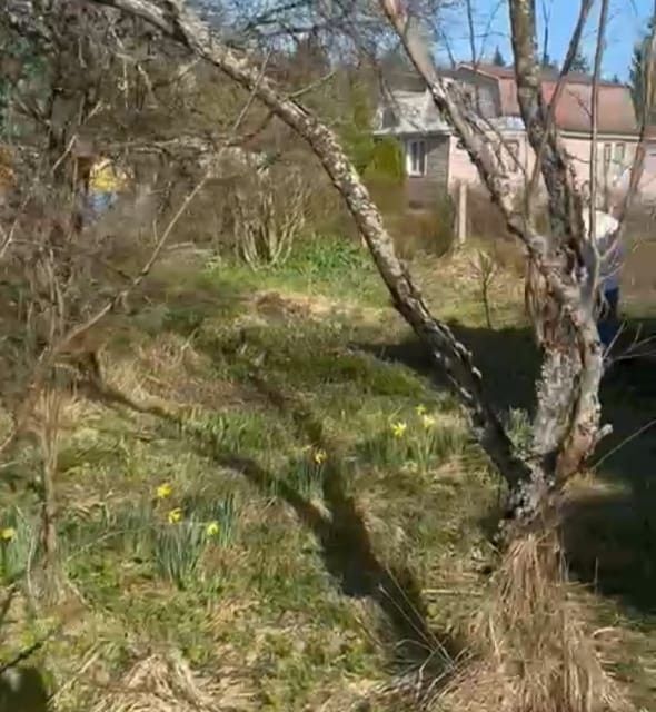 земля городской округ Сергиево-Посадский СНТ Радуга и Эльбрус фото 7