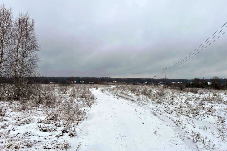 земля городской округ Чехов д. Филипповское фото 5