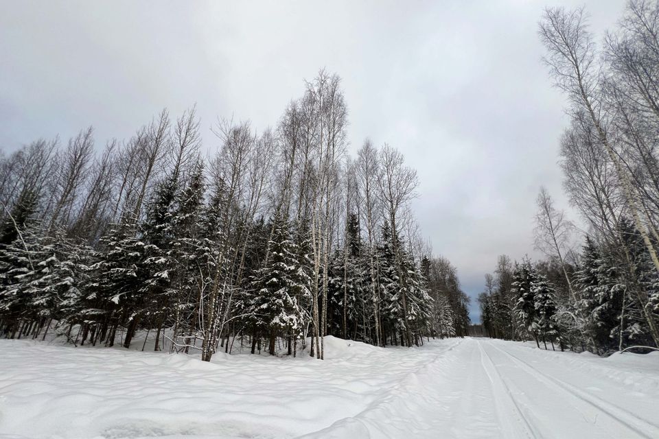 земля городской округ Дмитровский Медведки фото 7