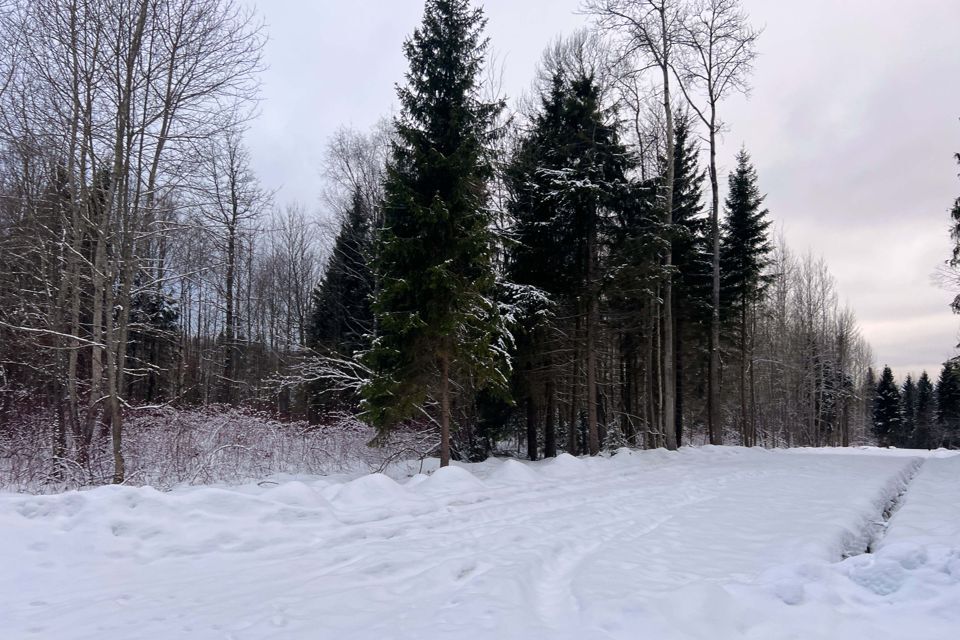 земля городской округ Дмитровский Медведки фото 10