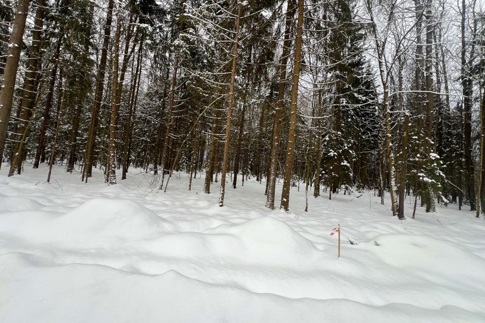 земля городской округ Дмитровский Медведки фото 8