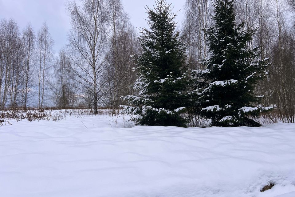 земля городской округ Дмитровский д. Сбоево фото 10