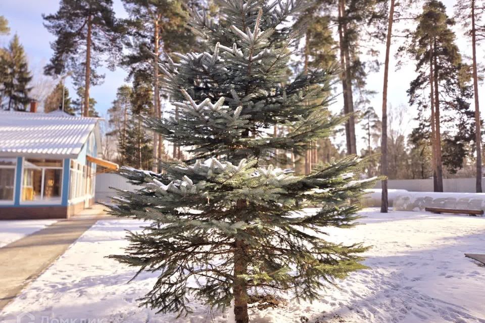 дом городской округ Раменский п Быково ул Октябрьская 34 фото 10