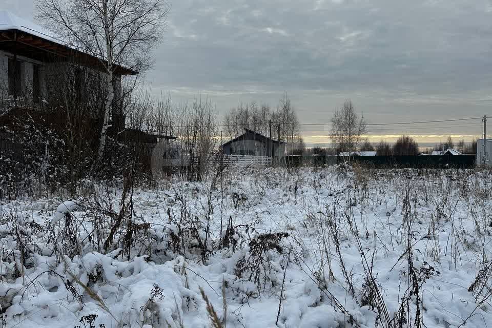 земля городской округ Дмитровский Афанасово Светлое фото 9