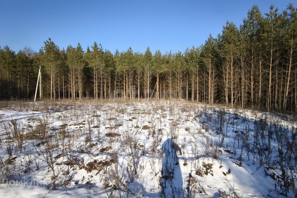 земля г Раменское Дергаево-2, Раменский муниципальный округ фото 8