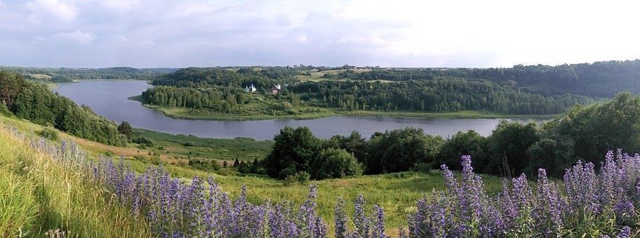 земля р-н Струго-Красненский д Подборовье 10 фото 10