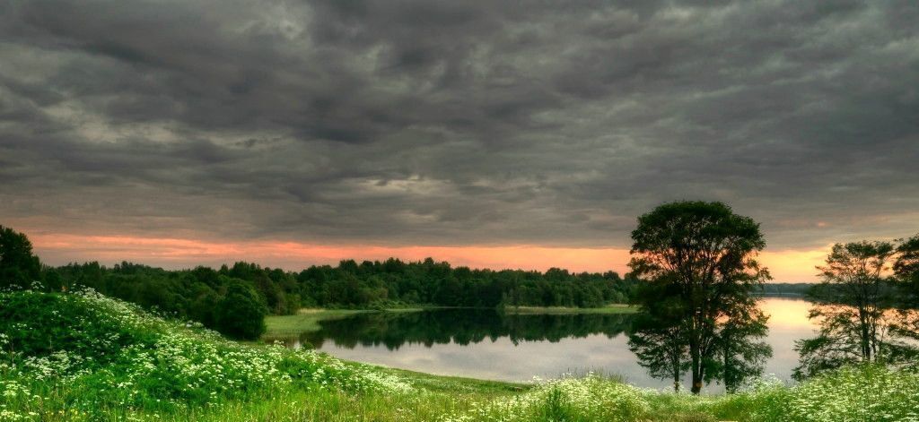 земля р-н Струго-Красненский д Подборовье 10 фото 11