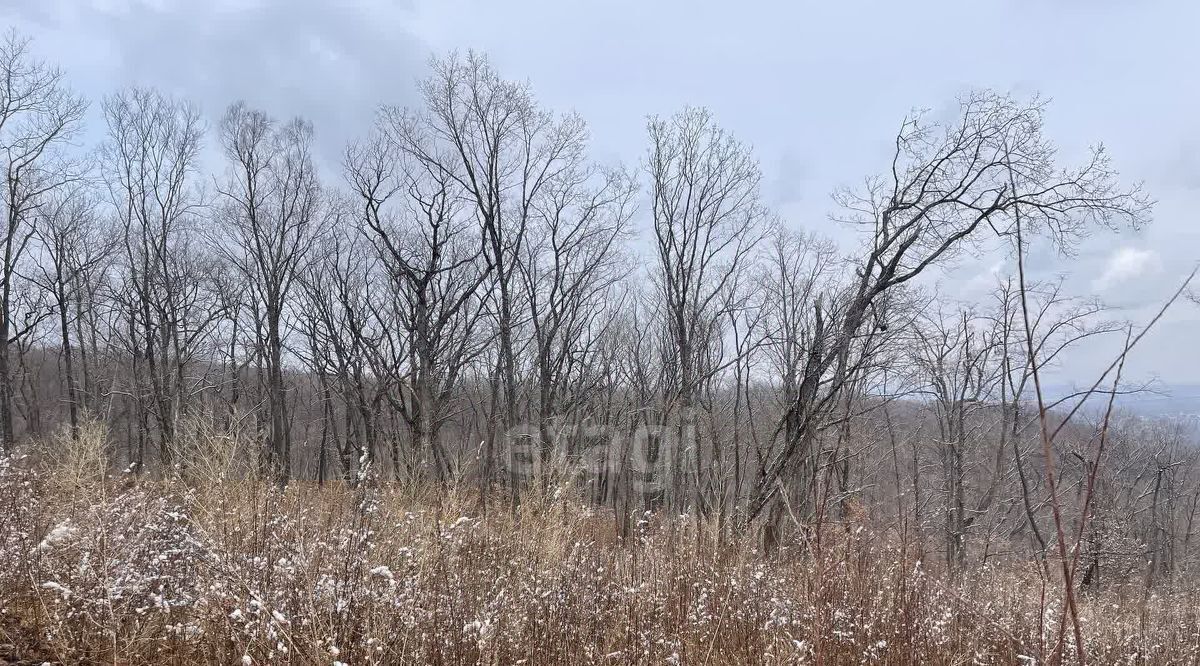 земля р-н Надеждинский Кварц СТ, ул. Янтарная, 86 фото 3