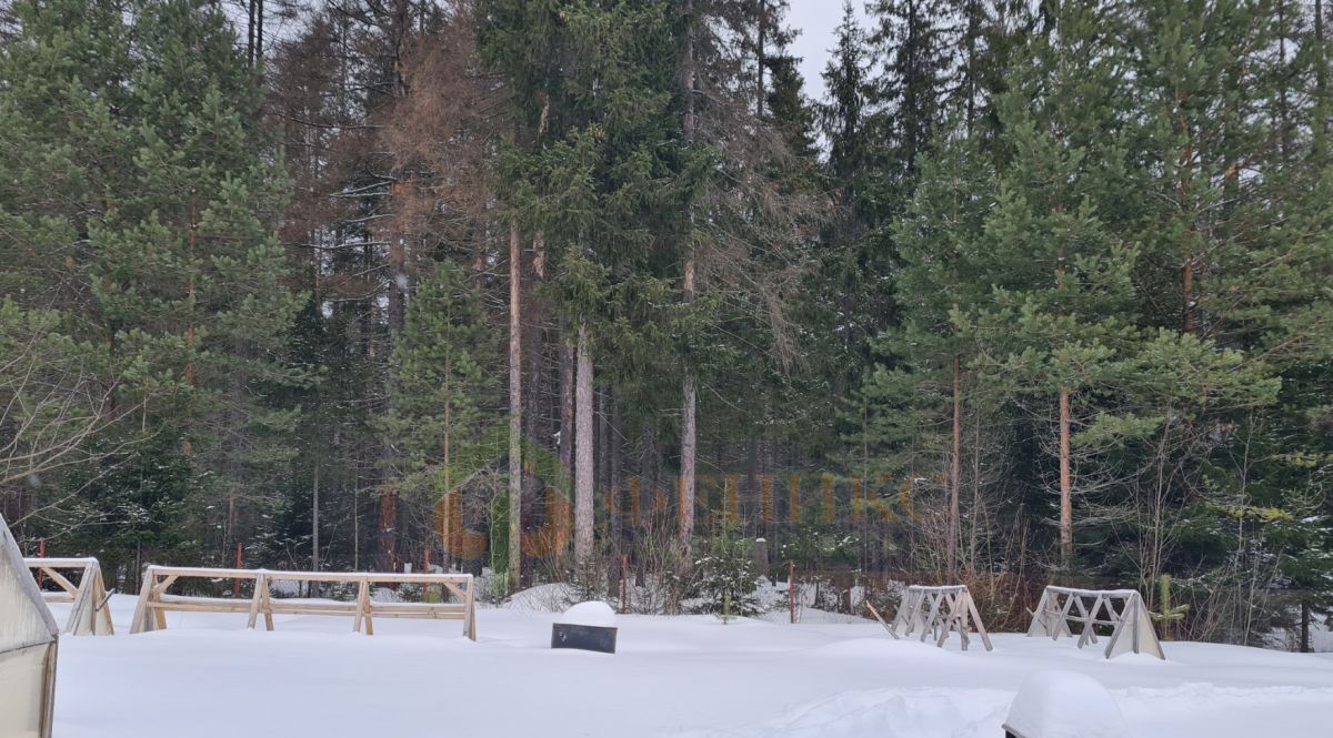 дом р-н Тихвинский снт Полюжье Рощинское городское поселение, 1-я линия, 13, Выборгский район фото 24