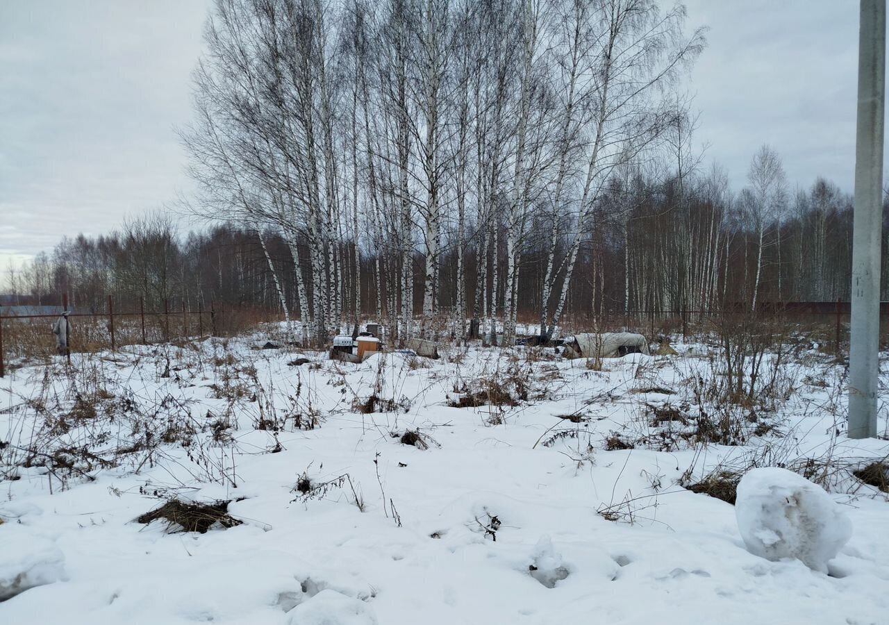 земля р-н Богородский д Березовка ул Космонавтов 14 Богородск фото 3