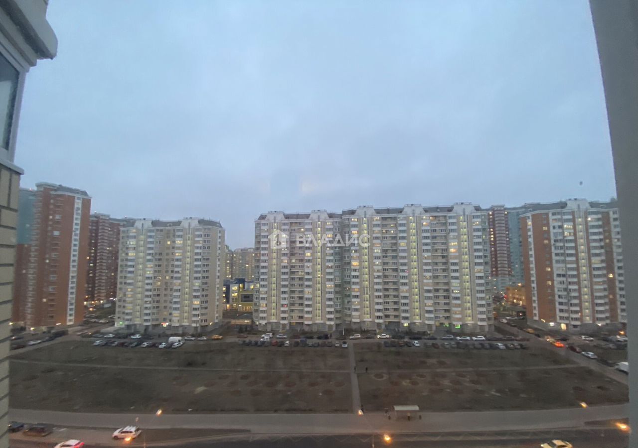 квартира г Москва метро Некрасовка ул Липчанского 5к/1 фото 10