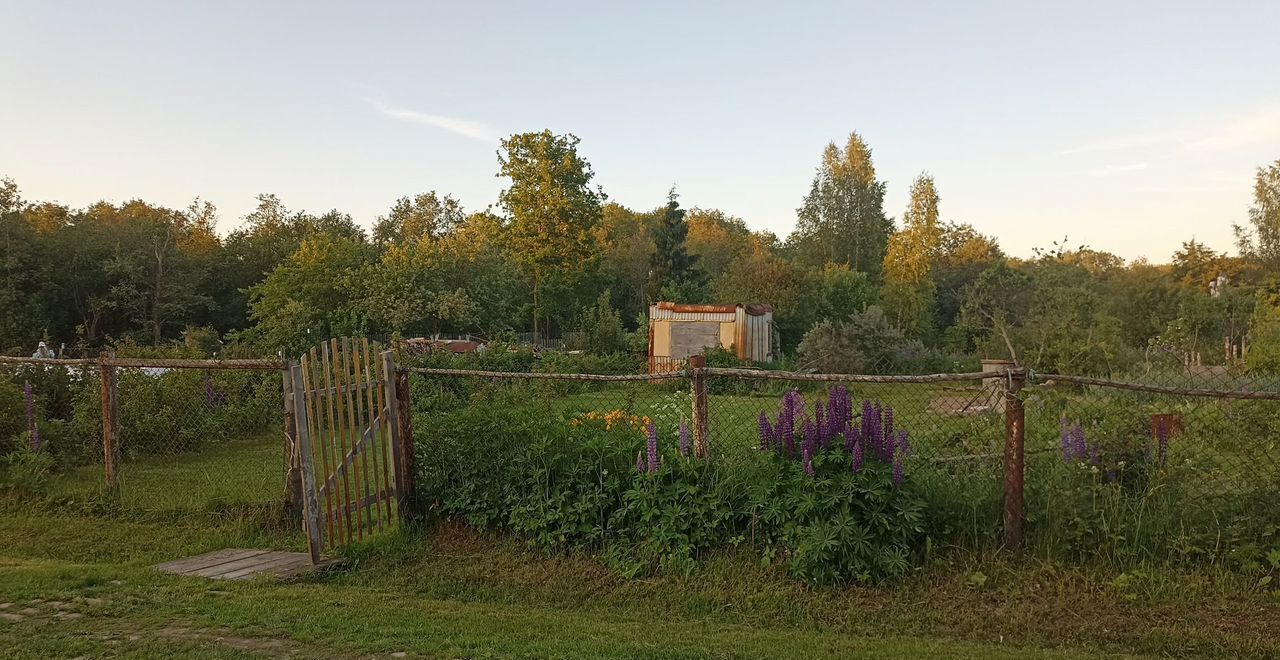 земля р-н Ярославский д Глебовское снт Радуга 139, Лесная Поляна фото 3