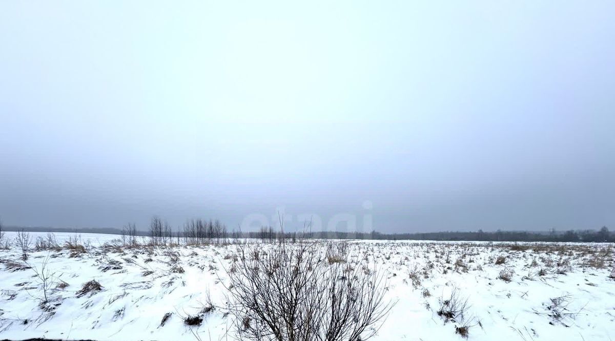 земля р-н Всеволожский Колтушское городское поселение, Царева Дача кп, Ломоносовская, 41 фото 29