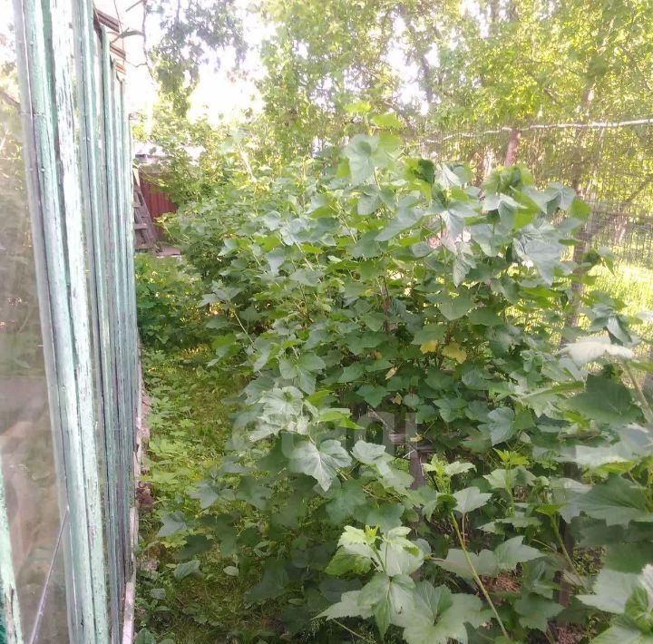 дом г Калуга снт Березка-4 15 фото 29