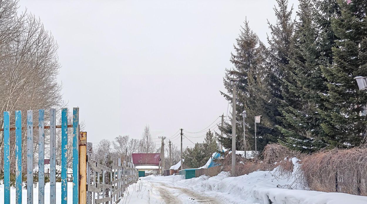 земля р-н Новосибирский снт Зорька Раздольненский сельсовет, аллея Тополевая, 31 фото 3