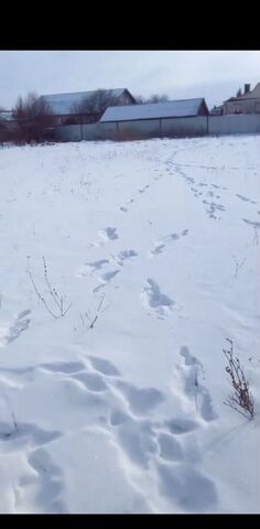 р-н Бондарский с Бондари ул Полевая фото