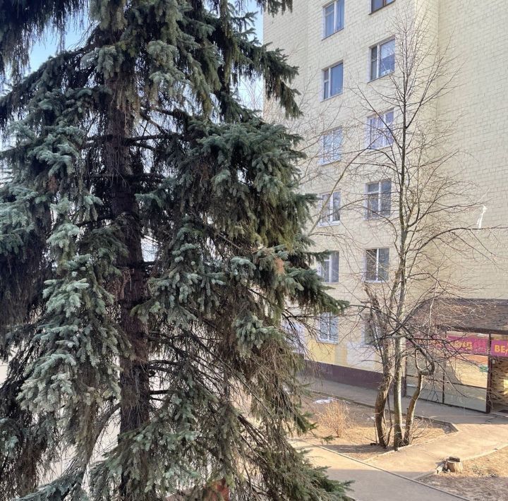 квартира г Воскресенск Центральный ул Менделеева 3 фото 8