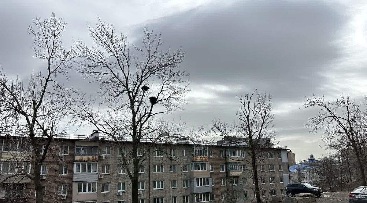 квартира г Владивосток р-н Первомайский ул Гризодубовой 55 фото 18