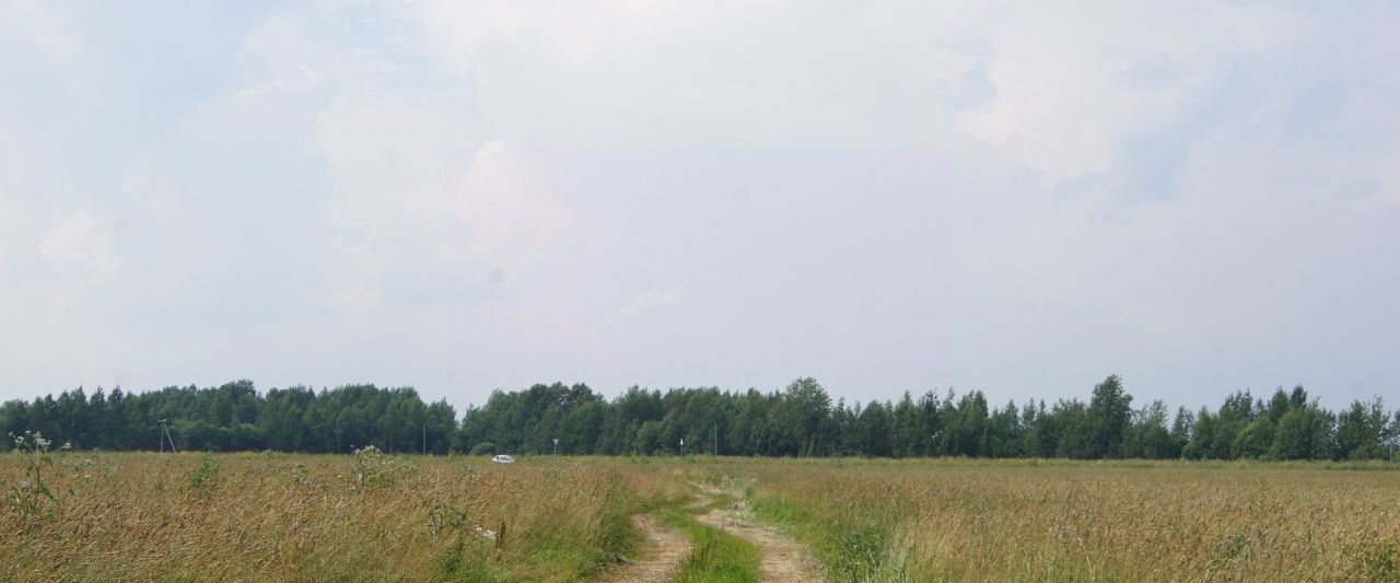 земля городской округ Клин д Губино днт Чистые пруды фото 2