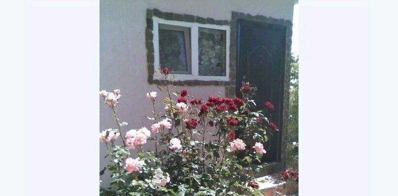 дом г Ялта г Алупка ул им Ленина 21 фото 6
