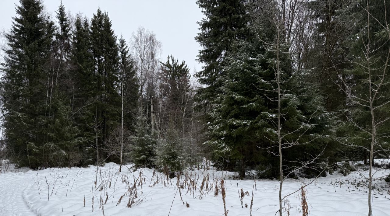 земля городской округ Наро-Фоминский Шик СНТ, 15 фото 12