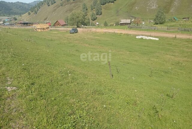 ул Лесхозная фото