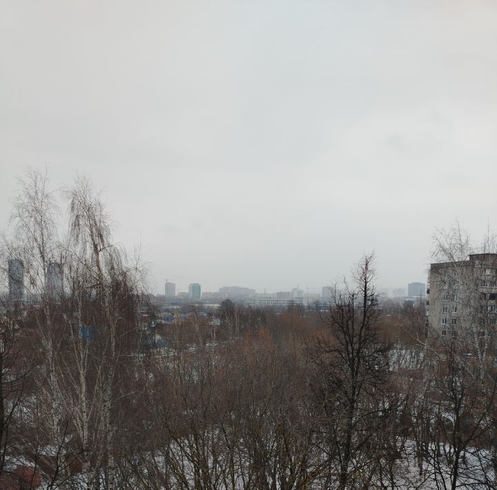 квартира г Нижний Новгород Заречная ул Премудрова 8к/1 фото 8