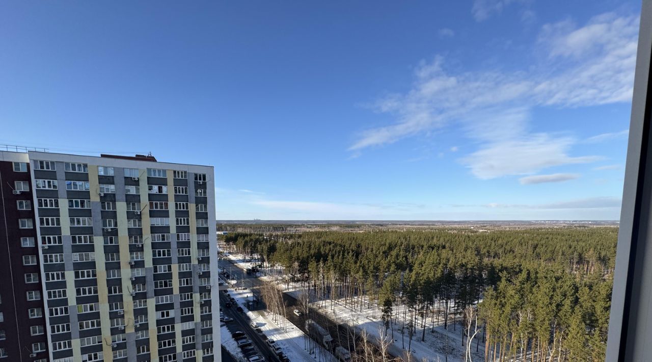 квартира г Воронеж р-н Железнодорожный ул Федора Тютчева 93/1 фото 1