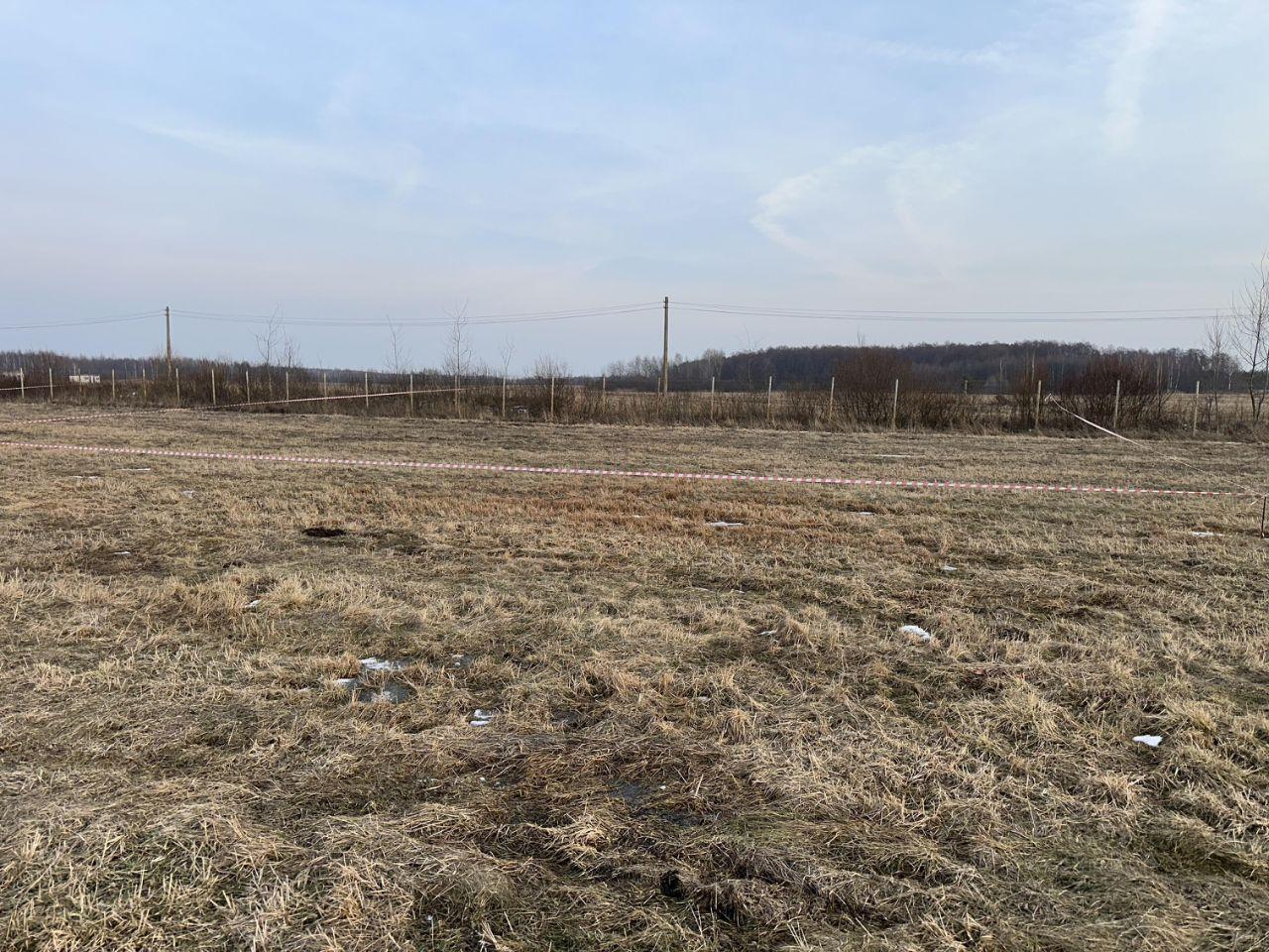 земля городской округ Орехово-Зуевский д Дровосеки Дачная тер фото 3