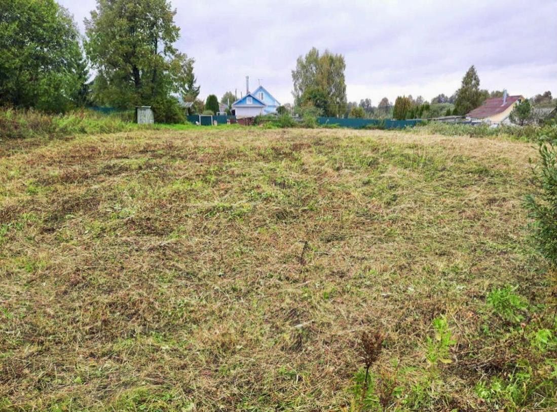 земля городской округ Шаховская д Плоское ул Центральная 9854 км, Новорижское шоссе фото 3