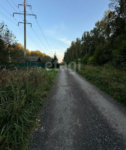 д Новоколедино снт Бережки фото