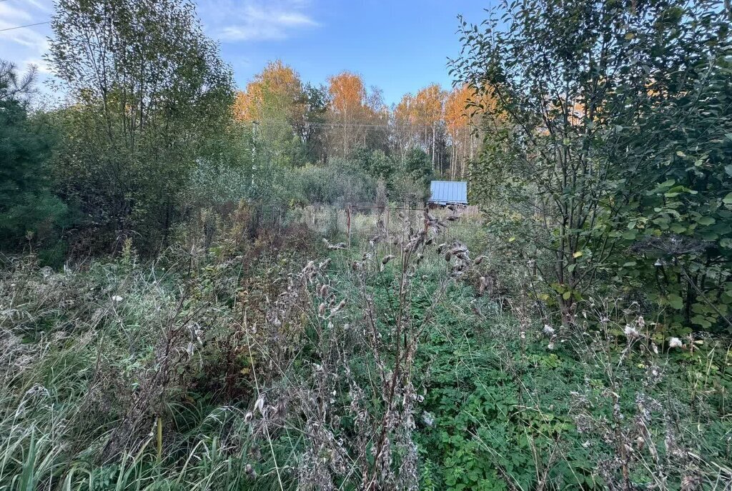 земля г Подольск д Новоколедино снт Бережки фото 2