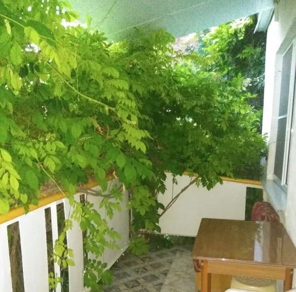 комната г Геленджик ул Короленко 7 Центр фото 3