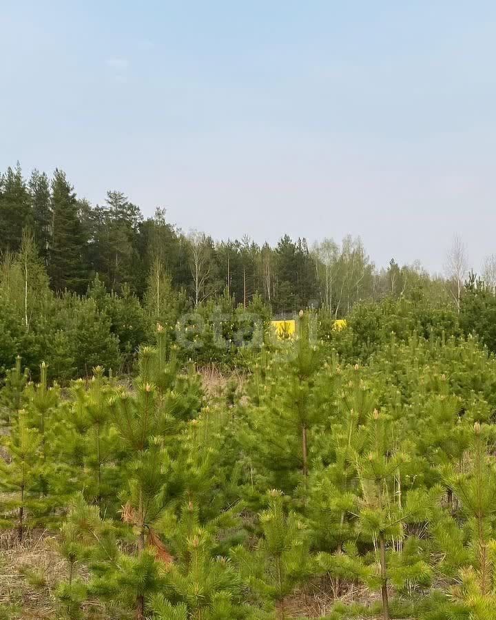 земля г Екатеринбург р-н Чкаловский коттеджный пос. Макаровский-1 фото 2