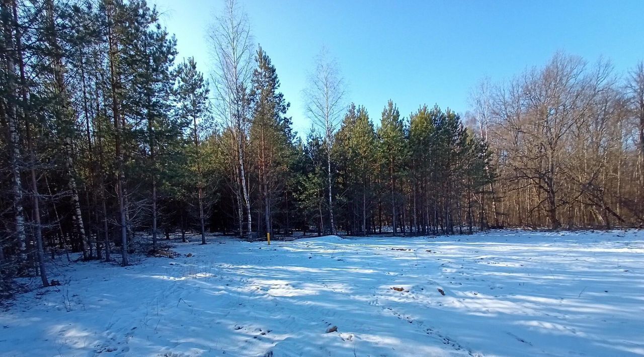 земля г Владимир с Кусуново р-н Октябрьский фото 1