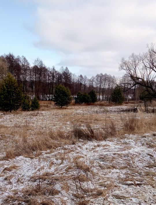 земля городской округ Егорьевск д Власовская фото 1