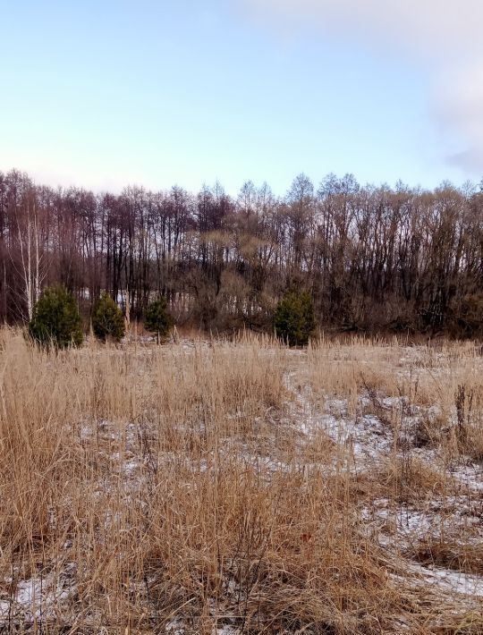 земля городской округ Егорьевск д Власовская фото 1