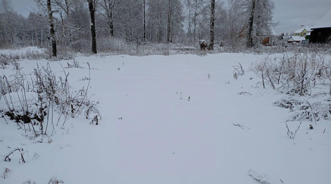 земля городской округ Орехово-Зуевский д Никулино фото 1