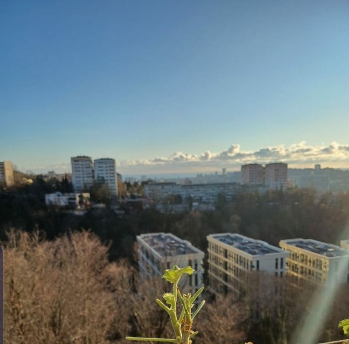 квартира г Сочи р-н Центральный ул Вишневая 27 фото 2