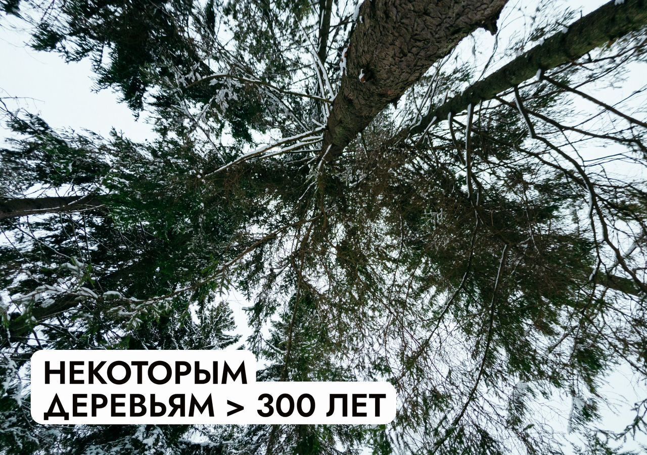 земля городской округ Солнечногорск дп Поварово 39 км, д. Новая, г. о. Солнечногорск, Пятницкое шоссе фото 25