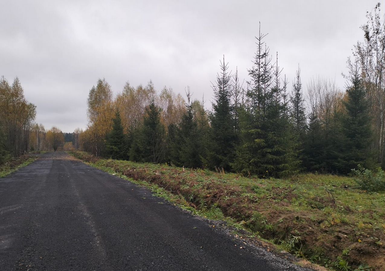 земля городской округ Мытищи п Трудовая 24 км, Некрасовский, Дмитровское шоссе фото 5