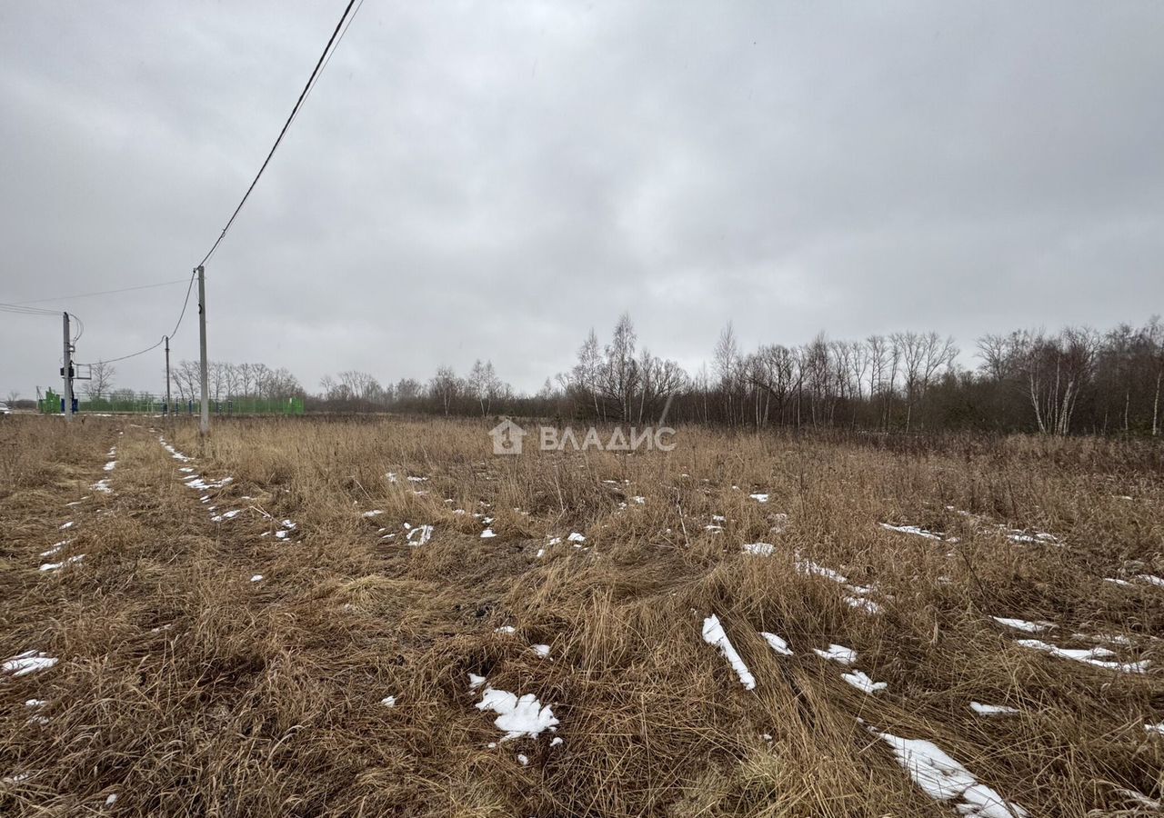 земля городской округ Коломенский с Чанки 86 км, Коломна, Новорязанское шоссе фото 3